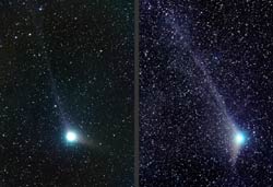 Two views of Comet Machholz